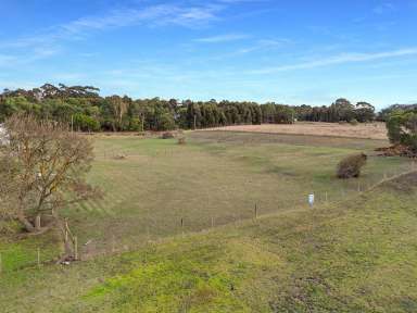 Farm For Sale - VIC - Coleraine - 3315 - 1.7 ACRE BUILDING BLOCK - COLERAINE  (Image 2)