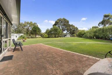 Farm Sold - VIC - Riddells Creek - 3431 - The best in Tranquil Country Living, with Modern Conveniences nearby  (Image 2)
