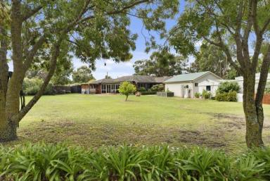 Farm Sold - VIC - Riddells Creek - 3431 - The best in Tranquil Country Living, with Modern Conveniences nearby  (Image 2)