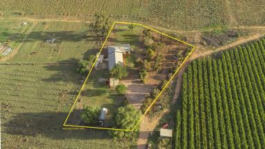 Farm Sold - VIC - Cardross - 3496 - Peaceful rural living with glorious views!  (Image 2)