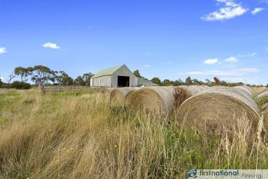 Farm Sold - VIC - Lang Lang - 3984 - Often sought. Rarely found - 25 acres abutting river  (Image 2)