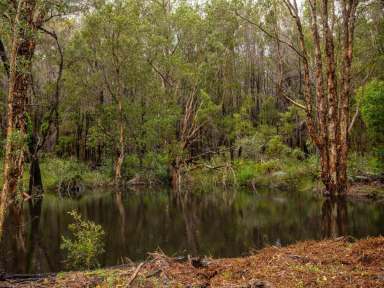 Farm Sold - NSW - Old Bar - 2430 - WONDERFUL HOME IN 'WOODLAND GROVE'  (Image 2)