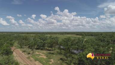 Farm Sold - QLD - Pentland - 4816 - 53,127 Ac of Exceptionally Well Grassed Cattle Country  (Image 2)