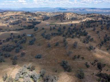 Farm Sold - NSW - Bungowannah - 2640 - “Highly Sought after and rarely available farm lot within the dress circle of regional Albury city”

520 Acres - 210 Ha (approx.)  (Image 2)