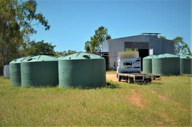 Farm For Sale - QLD - Charters Towers - 4820 - Great business opportunity  (Image 2)