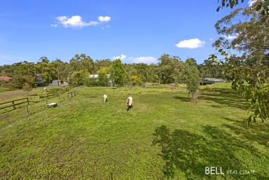 Farm Sold - VIC - Yarra Junction - 3797 - Yarra Valley Lifestyle Tree Change Awaits You!  (Image 2)