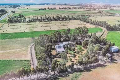 Farm Sold - VIC - Murrabit - 3579 - "THE GUM TREE" Rural Farmlet 11.43 h (28 acres)- close to Murray river  (Image 2)