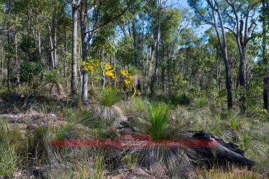 Farm For Sale - WA - Donnybrook - 6239 - LOCATION CONVENIENCE WITH THE SPACE TO DREAM!  (Image 2)