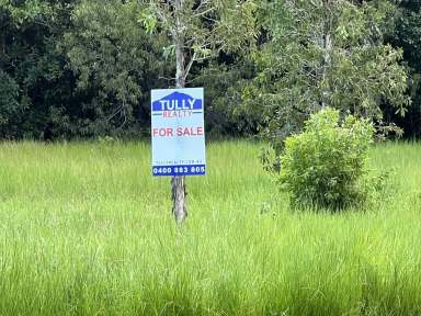 Farm Sold - QLD - Tully Heads - 4854 - 5 ACRE BLOCK IN TULLY HEADS - $300k  (Image 2)