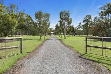 Farm Sold - QLD - Tinana - 4650 - COUNTRY TRANQUILITY, MOMENTS FROM TOWN  (Image 2)