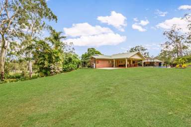 Farm Sold - QLD - Burua - 4680 - IT'S ALL ABOUT THE GREAT AUSSIE OUTDOORS & FAMILY ENTERTAINING  (Image 2)