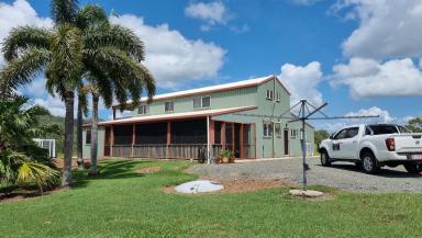 Farm Sold - QLD - Bloomsbury - 4799 - 'Oakwood" - Love At First Sight  (Image 2)
