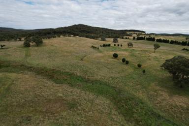Farm Sold - NSW - Goulburn - 2580 - Excellent Rural Property  (Image 2)