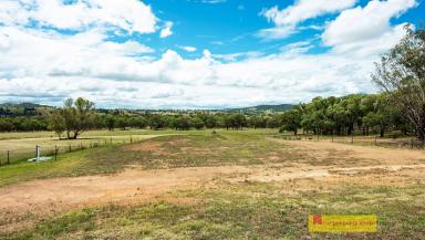 Farm Sold - NSW - Mudgee - 2850 - THE ULTIMATE RURAL LIFESTYLE PROPERTY  (Image 2)