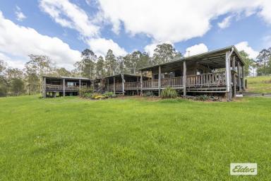Farm Sold - NSW - Wells Crossing - 2460 - HUGE OPPORTUNITY IF YOU CAN TICK THE BOXES  (Image 2)