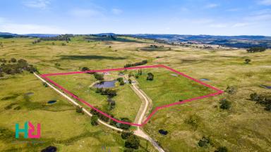 Farm Sold - NSW - Sodwalls - 2790 - The Meadows Farm - 39 acres of serenity  (Image 2)