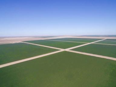 Farm Sold - NSW - Hay - 2711 - One of Australia’s Largest Irrigated Cotton Operations  (Image 2)