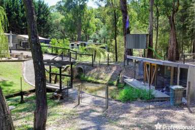 Farm Sold - VIC - Launching Place - 3139 - A PLACE TO CALL HOME ON JUST OVER 1 ¼ ACRES  (Image 2)