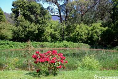 Farm Sold - VIC - East Warburton - 3799 - MOUNTAIN VIEWS, YARRA RIVER FRONTAGE, 1.25 ACRES APPROX  (Image 2)