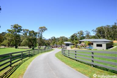 Farm Sold - VIC - Launching Place - 3139 - 3 ACRE YARRA VALLEY RESORT LIVING  (Image 2)