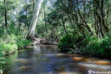 Farm Sold - VIC - Three Bridges - 3797 - BUSH HAVEN 80 ACRES APPROX  (Image 2)