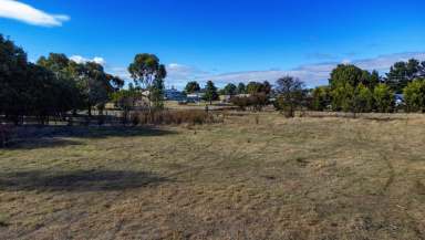 Farm Sold - TAS - Campbell Town - 7210 - Build Some New History  (Image 2)