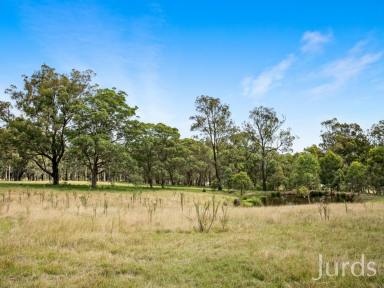 Farm Sold - NSW - Lovedale - 2325 - LOVEDALE CANVAS  (Image 2)