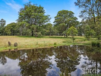 Farm Sold - NSW - Lovedale - 2325 - LOVEDALE CANVAS  (Image 2)