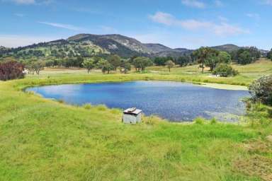 Farm Sold - NSW - Tenterfield - 2372 - Living on the Edge.....  (Image 2)