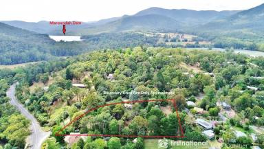 Farm Sold - VIC - Healesville - 3777 - Character Home on a Secluded 2 Acres (approx).  (Image 2)