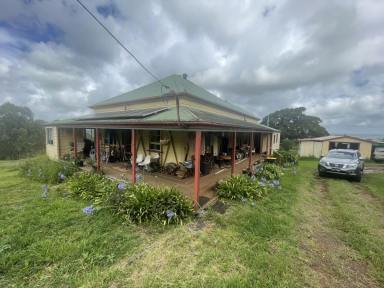 Farm Sold - NSW - Clunes - 2480 - Homestead and Land  (Image 2)