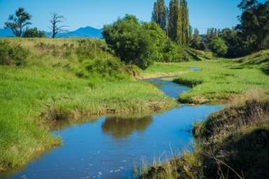 Farm Sold - NSW - South Wolumla - 2550 - "HEATH FARM" 280 ACRES WOLUMLA  (Image 2)