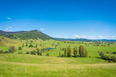 Farm Sold - NSW - South Wolumla - 2550 - "HEATH FARM" 280 ACRES WOLUMLA  (Image 2)