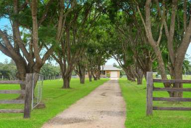 Farm Sold - NSW - Wauchope - 2446 - Prime Acreage in Picture Perfect Setting on the Hasting River  (Image 2)