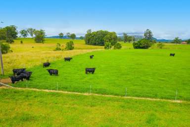 Farm Sold - NSW - Wauchope - 2446 - Prime Acreage in Picture Perfect Setting on the Hasting River  (Image 2)