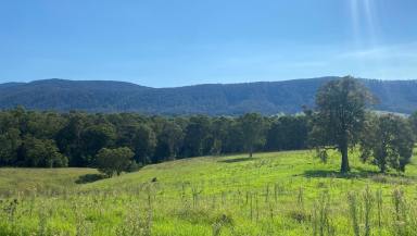 Farm Sold - NSW - Bega - 2550 - VIEWS OF MUMBULLA MOUNTAIN  (Image 2)