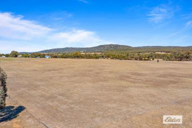 Farm Sold - VIC - Stawell - 3380 - Spectacular outlook to the Grampians  (Image 2)