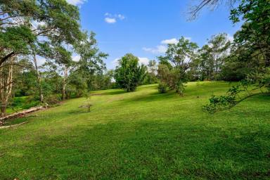 Farm Sold - QLD - Image Flat - 4560 - Countryside Lifestyle Minutes from Town on Pristine Acreage.  (Image 2)