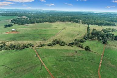 Farm Sold - VIC - South Purrumbete - 3260 - Fly into a fantastic opportunity.  (Image 2)