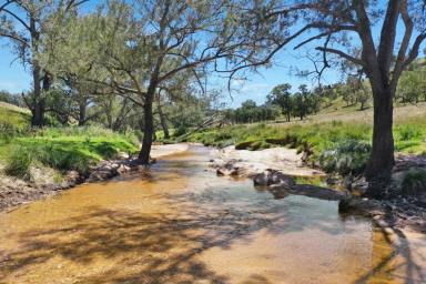 Farm Sold - NSW - Tenterfield - 2372 - "Willawong" - 3km Creek Frontage.....  (Image 2)