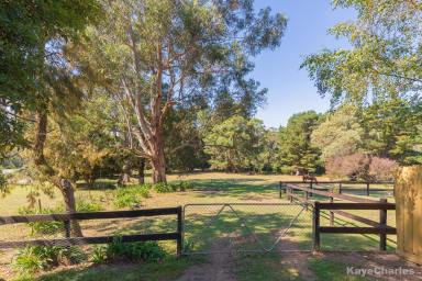 Farm Sold - VIC - Beaconsfield Upper - 3808 - A Picturesque Canvas  (Image 2)