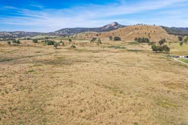 Farm For Sale - NSW - Tenterfield - 2372 - "Big Paddock" - Big Opportunities.....  (Image 2)