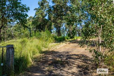Farm Sold - NSW - Nelligen - 2536 - Peaceful Acres - Bidding Guide $520,000  (Image 2)