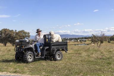 Farm Sold - NSW - Yass - 2582 - Live a Carbon Friendly Country Life  (Image 2)
