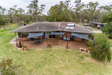 Farm Sold - VIC - Longford - 3851 - EXPRESSIONS OF INTEREST INVITED - 5 BEDROOM BRICK HOME WITH LIFESTYLE LIVING  (Image 2)