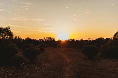 Farm Sold - SA - Sandleton - 5356 - BEAUTIFUL BUSH BLOCKS  (Image 2)