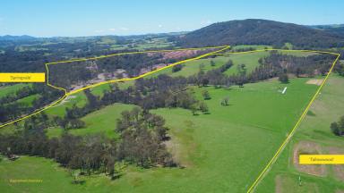 Farm Sold - NSW - Dorrigo - 2453 - Some of the Best Value on the Dorrigo Plateau, 457.2* Acres in Adjoining Properties (To be auctioned individually)  (Image 2)