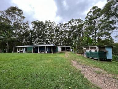 Farm Sold - QLD - Wilsons Pocket - 4570 - Bushland and Wildlife Retreat on Top of the World!  (Image 2)