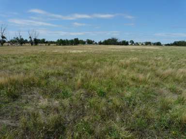 Farm Sold - NSW - Finley - 2713 - HUGE DEVELOPMENT POTENTIAL  (Image 2)