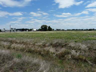 Farm Sold - NSW - Finley - 2713 - HUGE DEVELOPMENT POTENTIAL  (Image 2)